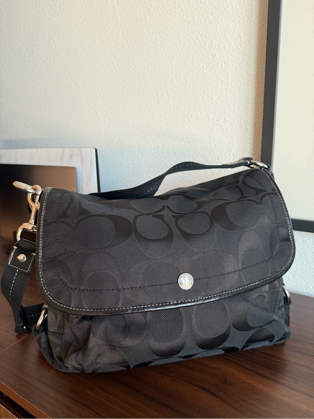Coach Bag (vintage)